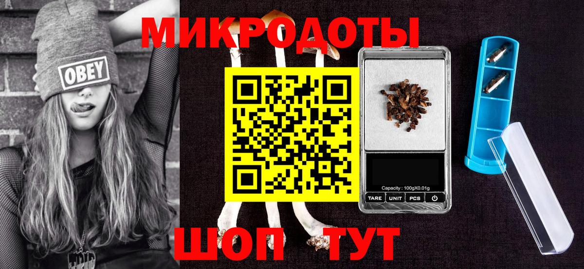 Псилоцибиновые грибы прущие грибы Нальчик