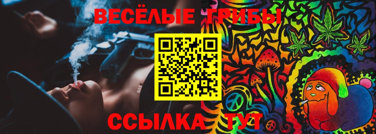 Псилоцибиновые грибы ЛСД  магазин    Вход с VPN  Нальчик  Псилоцибиновые грибы мицелий 